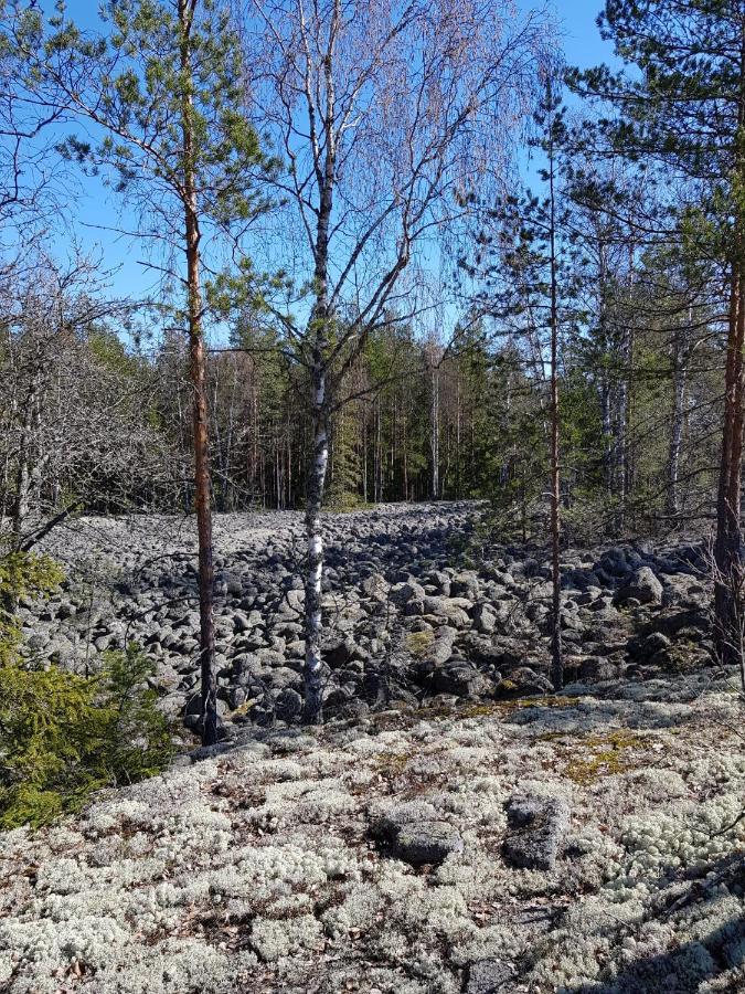 Lehmirannan Lomakeskus Hotell Salo  Eksteriør bilde